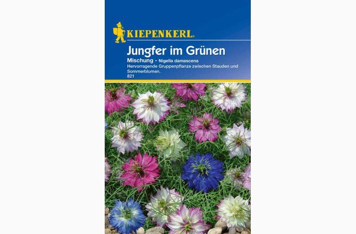 Nigella damascena Jomfru i det Grnne, blanding - Jungfer im Grnen