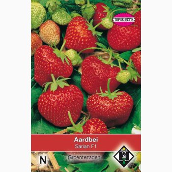 Jordbrfr Fragaria x ananassa Delician F1- Jordbr (25 fr)