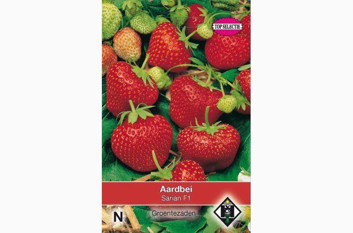 Jordbrfr Fragaria x ananassa Delician F1- Jordbr (25 fr)