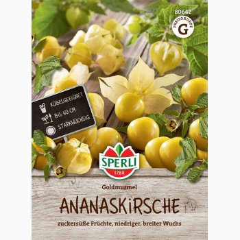 Ananaskirsebrfr Physalis pruinosa, Goldmurmel
