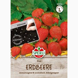 Jordb�r Elan - Fr� (piller)