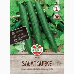 Agurkfr Bella, F1 - Slangeagurk