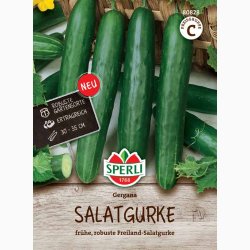 Gergana agurkfr - salatagurk