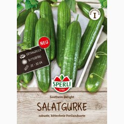 Salatgurke Southern Delight, F1 - Frilandsagurk