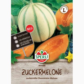 Cucumis melo  Anasta, F1 - Melon