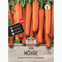 Gulerodsfr Berkos, F1