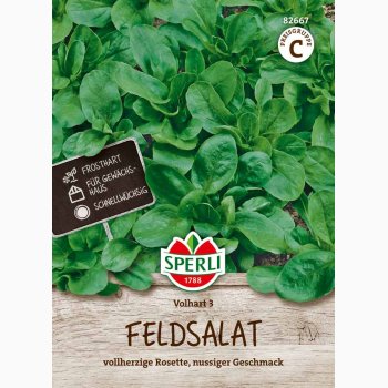 V�rsalat, Feldsalat - Valerianella locusta, Volhart 3