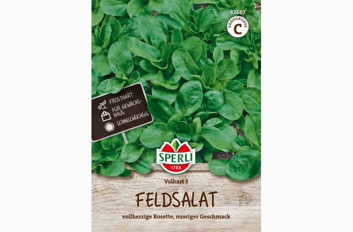 V�rsalat, Feldsalat - Valerianella locusta, Volhart 3