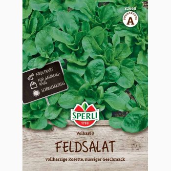 Vrsalat, Feldsalat - Valerianella locusta, Volhart 3