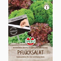 Salat fr pluk salat kombination, fr Sbnd