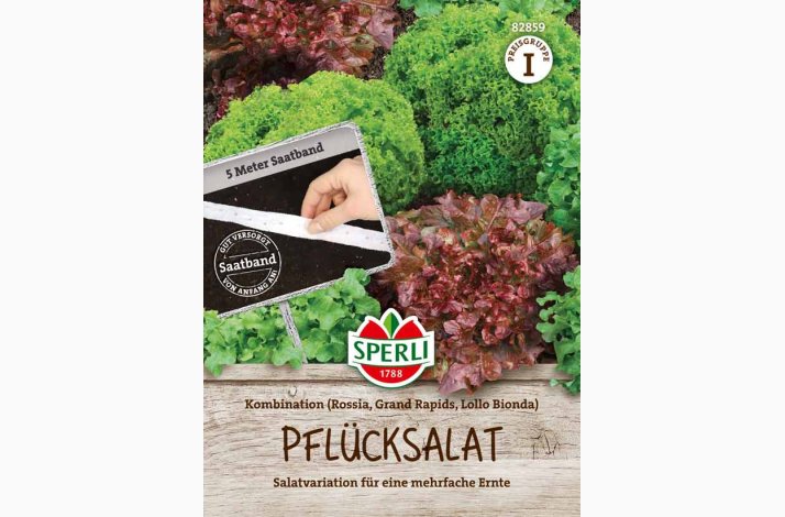 Salat fr pluk salat kombination, fr Sbnd