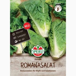Romaine salatfr Xanadu 