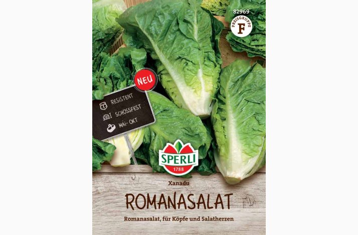 Romaine salatfr Xanadu 