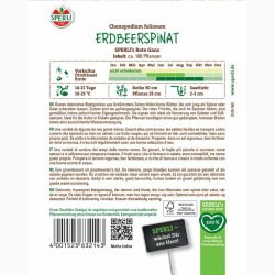 Chenopodium foliosum SPERLI's Rote Gans - Jordbrspinat