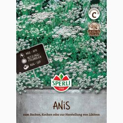 Pimpinella Anisum - Anis