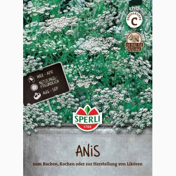 Pimpinella Anisum - Anis