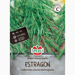 Estragon SPERLI's Little Dragon- Estragon