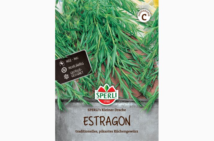 Estragon SPERLI's Little Dragon- Estragon