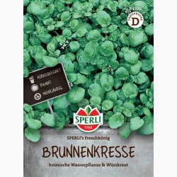 Nasturtium officinale-Brndkarse