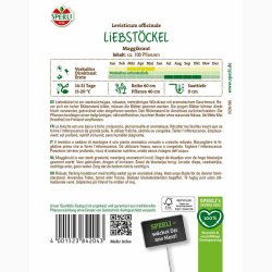 Levisticum officinale - Lvstikke