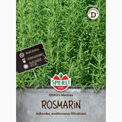 Rosmarin officinalis - Rosmarin