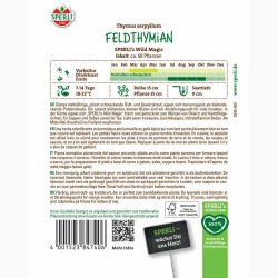 Thymus serpyllum Wild Magic smalbladet - Timian