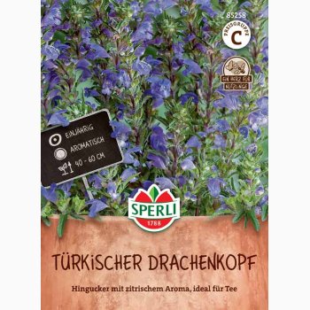 Tyrkisk Dragehoved (Dracocephalum moldavica)