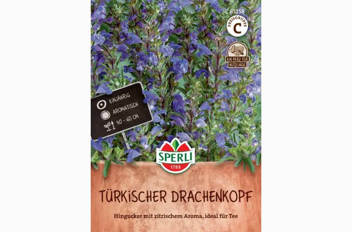 Tyrkisk Dragehoved (Dracocephalum moldavica)