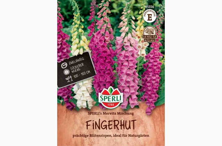 Digitalis purpurea SPERLI`s Mervita blanding  Fingerbl