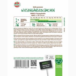 Bellis Perennis - Eng Tusindfryd