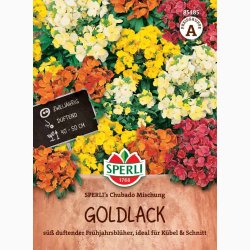 Gyldenlak fr SPERLI's Chubado blanding