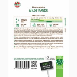 Dipsacus fullonum Wilde karde - Vildstaude