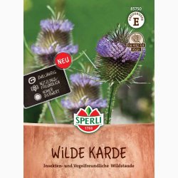 Dipsacus fullonum Wilde karde - Vildstaude