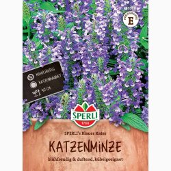 Nepeta x faassenii Sperli's Blauer Kater - Katteurt