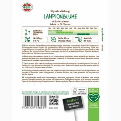 Physalis alkekengi Mikie's Laterne- Japansk Lygte