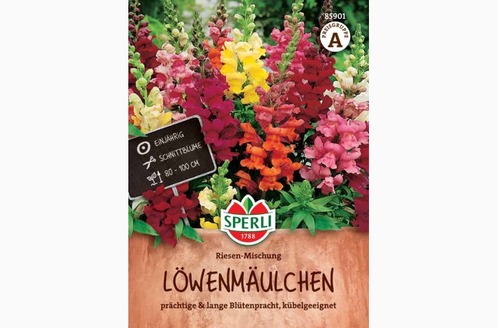 L�vemund � Antirrhinum majus �Riesen Mix� � Fr�