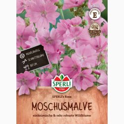 Moskus mallow fr SPERLI's Rosa