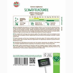 Cosmos Sulpureus Rabattengold - Kosmos