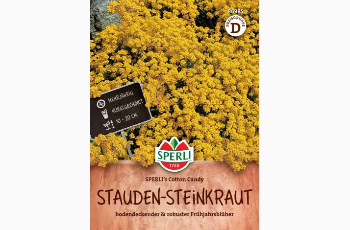 Gul sl�jfeblomst � Aurinia saxatilis �SPERLI�s Cotton Candy� � Fr�