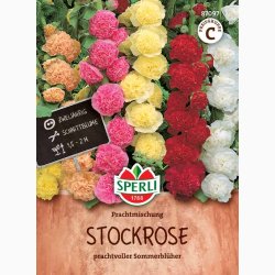 Stokrose fr blanding -Stokrose