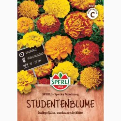 Tagetes SPERLI's Sparky Mischung - Fljlsblomst
