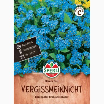 Forglemmigej � Myosotis sylvatica �Blauer Ball� � Fr�