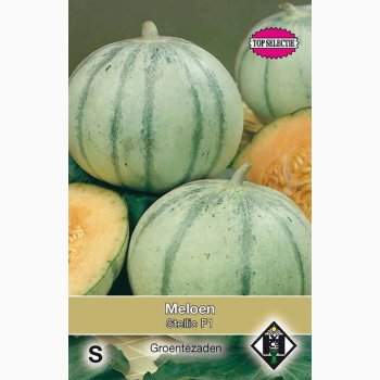 Melon Stellio F1