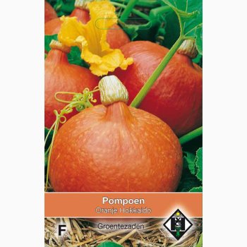 Gr�skarfr� Curcurbita Uchiki kuri Orange Hokkaido - gr�skar (ca.10 fr�)