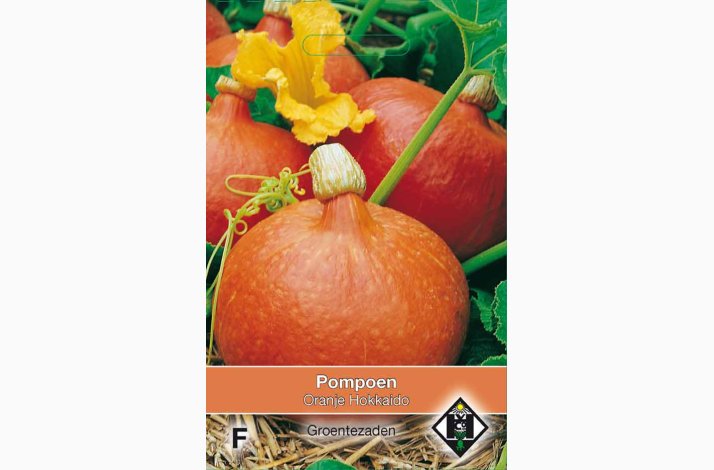 Gr�skarfr� Curcurbita Uchiki kuri Orange Hokkaido - gr�skar (ca.10 fr�)