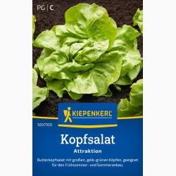 Kopfsalat Attraktion - Hovedsalat