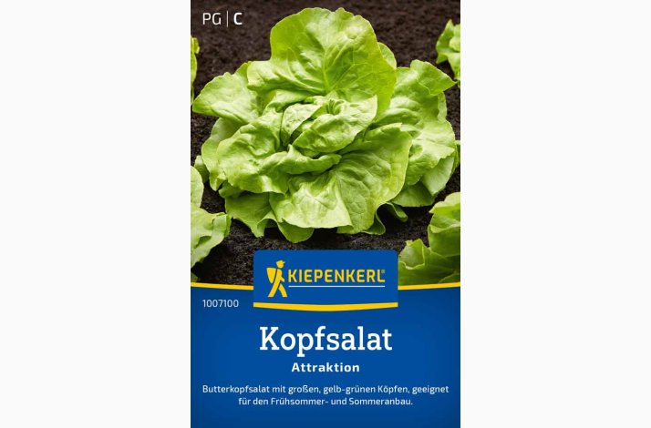 Kopfsalat Attraktion - Hovedsalat