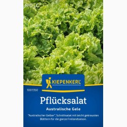 Pflcksalat Australische Gele - Pluksalat
