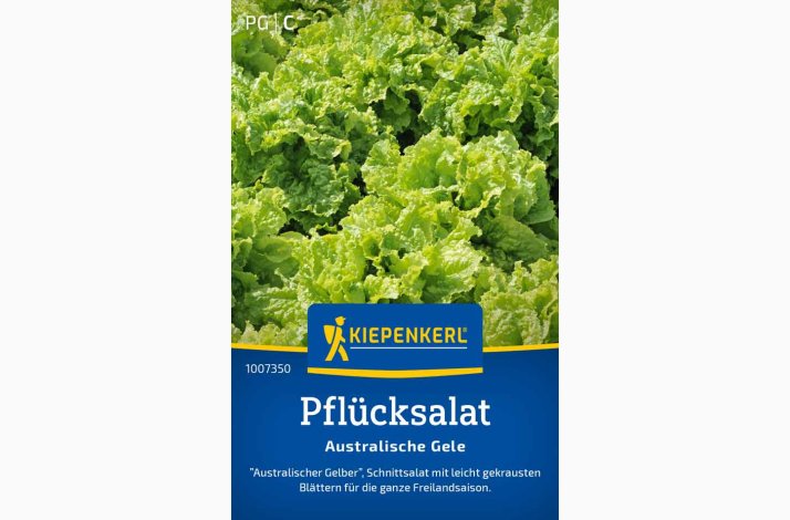 Pflcksalat Australische Gele - Pluksalat