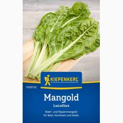 Mangold Lucullus - Bladbede